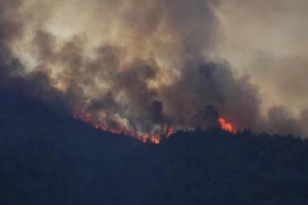 515857562_1299487565519272_89393308107975756_n