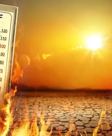 Dünya 2024'te en sıcak yılı yaşadı