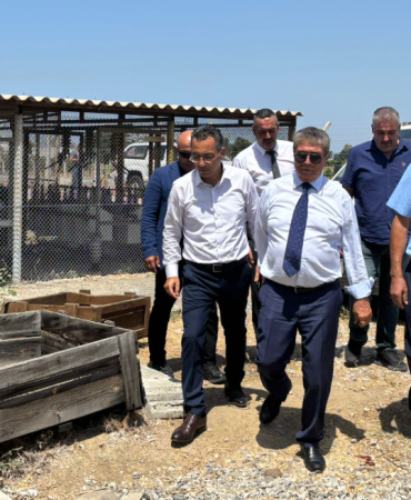 Ekran görüntüsü 2025-08-11 154715