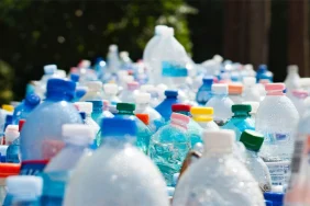 untitled-3_1597136563