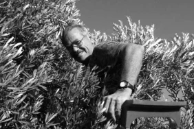 v2yeniproje-2025-08-28t112959472_1756369858