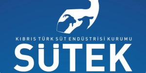 1761650089019SÜTEK