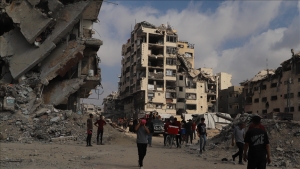 1761732780855thumbs_b_c_67ee3e2bbde4cf3e0262d5b359993fa1