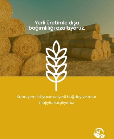 571467857_122110459881002256_1526217145682419205_n