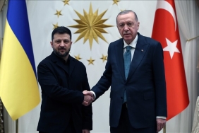 1763565754906thumbs-b-c-535a0683c5fe21ef303fd09987ce37f8-1024xauto