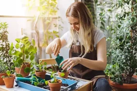 65eb17ee6534697d9d18265a