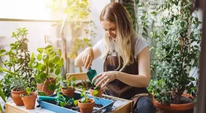 65eb17ee6534697d9d18265a