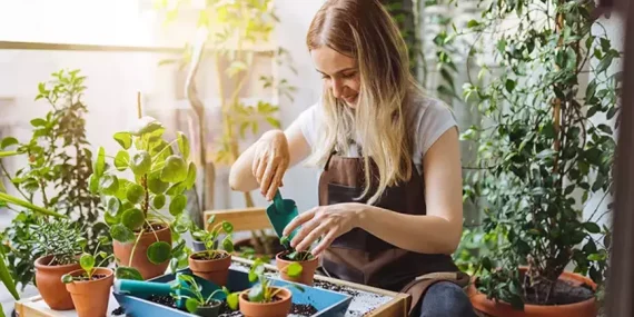 EVİNİZE DOĞAL BİR DOKUNUŞ… İŞTE BALKON BAHÇESİ YAPMAK İÇİN BİLMENİZ GEREKENLER!