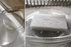 692af5210a360c93d58fe011