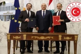 v2lbnananlama_1764230410