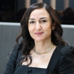 v2yeniproje5_1748361172 (1)