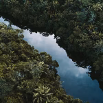 1024x576_cmsv2_f34af2c3-01f3-50ba-827b-3182d2bf5cd1-9579677