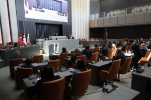 17655532065611765475310774Meclis GENEL2