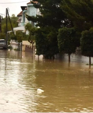 Ekran görüntüsü 2025-12-09 155054