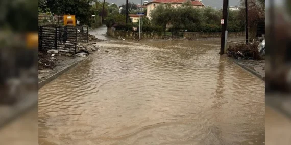 GIDA MÜHENDİSLERİ’NDEN SEL SONRASI UYARI: KİRLİ SUYA TEMAS EDEN HİÇBİR GIDA GÜVENLİ DEĞİLDİR