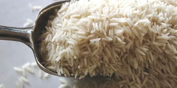 TARIMDA “NANO” DEVRİM: PİRİNÇ DAHA UCUZ VE SAĞLIKLI HALE GELEBİLİR