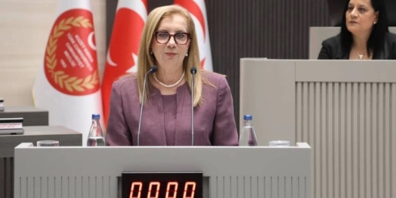 RESMİYE EROĞLU CANALTAY: KAPSAMLI VE MODERN YÖNTEMLERLE YÜRÜTÜLECEK BİR NÜFUS SAYIMINA İHTİYAÇ DUYUYORUZ