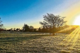 meteoroloji-acikladi-sicakliklar-artiyor-gunesli-hafta-sonu-geliyor