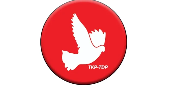 TDP, Ev İçi Şiddet Yasası’nın geçmesi için çağrı yaptı