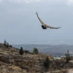 v2normalhaberboyutuablonsuzkopyas-2025-12-05t092829461_1764919782