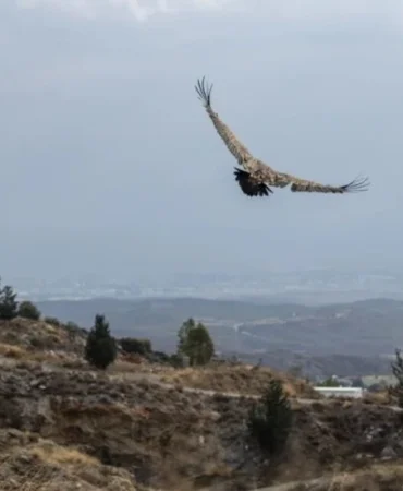 v2normalhaberboyutuablonsuzkopyas-2025-12-05t092829461_1764919782