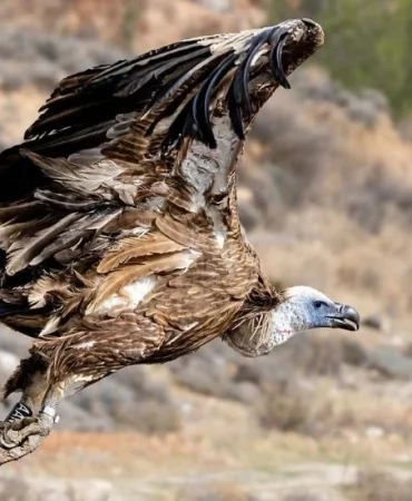 v2normalhaberboyutuablonsuzkopyaskopyaskopyas-2025-12-06t113525105_1765013857