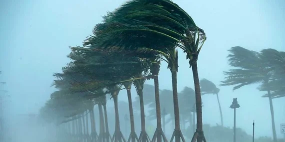 Karada ve denizde yarın fırtına bekleniyor