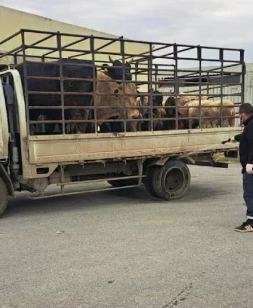 v2yeniproje-2025-12-15t152222601_1765805182