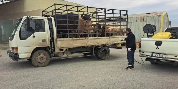 LTB şap hastalığına karşı önleyici tedbirleri hayata geçirdi
