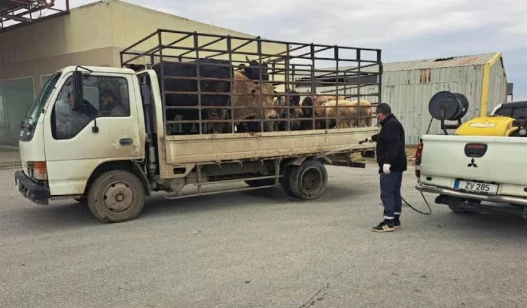 v2yeniproje-2025-12-15t152222601_1765805182