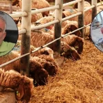 v2yeniproje4_1765568982