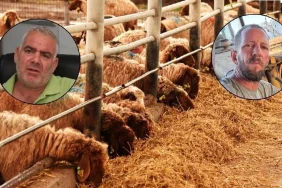 v2yeniproje4_1765568982