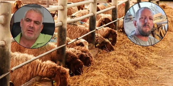 Hayvancılar isyanda: Balyasız kalacağız, sütün maliyet hesabını ilettik