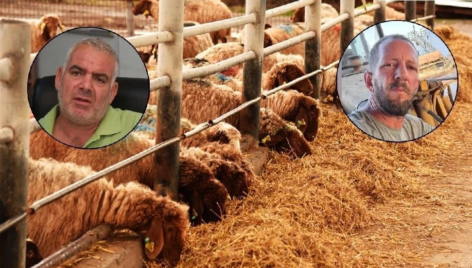 v2yeniproje4_1765568982