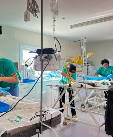 1768487342702KISIRLAŞTIRMA3