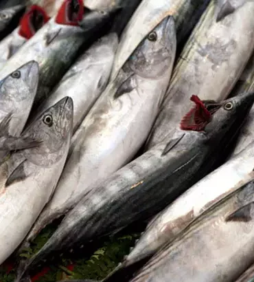 697dc93a0d5f87cad2704bfc