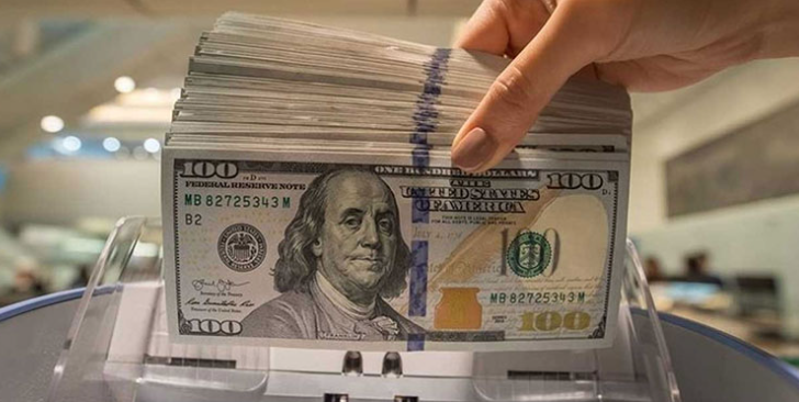 DOLAR REKOR TAZELEDİ