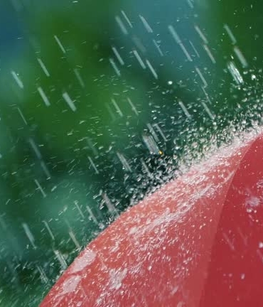 WhatsApp Image 2025-12-20 at 11.18.44