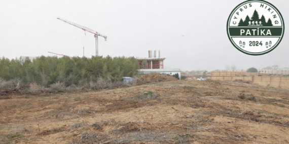 PATİKA DOĞA SPORLARI DERNEĞİ İSKELE’DE AĞAÇ SÖKÜLMESİNİN DURDURULMASINI İSTEDİ