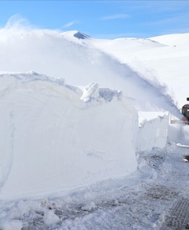 thumbs_b_c_9727bc2e56cb14a92a42645a6e24538f (1)