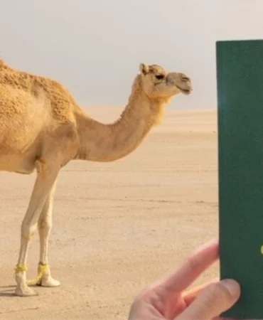 v2normalhaberboyutuablonsuzkopyas-2026-02-05t105721921_1770282102