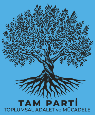 17724364293991758211527242tam parti logo
