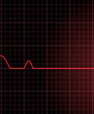 1774694282796ANI-OLUM