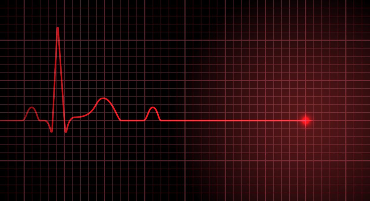 1774694282796ANI-OLUM