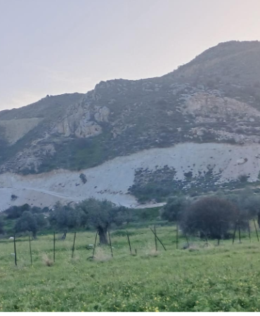 Ekran görüntüsü 2026-03-08 141142