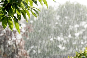 WhatsApp Image 2026-03-27 at 13.59.04