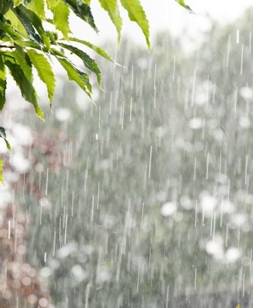 WhatsApp Image 2026-03-27 at 13.59.04