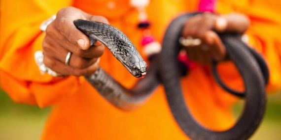 Mısır’da oteldeki ‘yılan’ gösterisi facia ile bitti: Alman turist hayatını kaybetti!