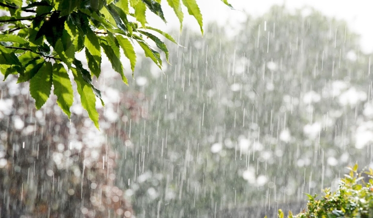 METEOROLOJİ DAİRESİ: ÖNÜMÜZDEKİ ÜÇ GÜN YER YER SAĞANAK BEKLENİYOR