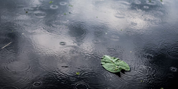 WhatsApp Image 2026-04-04 at 09.17.26